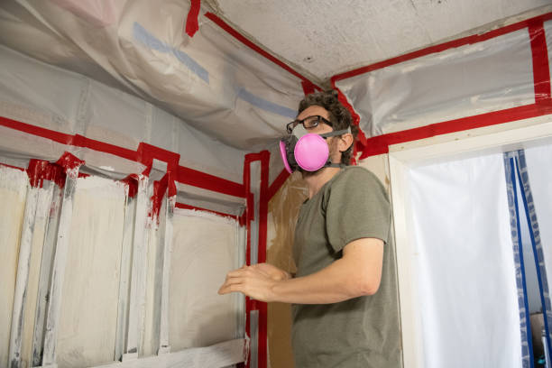 Best Mold Prevention Services  in North Conway, NH